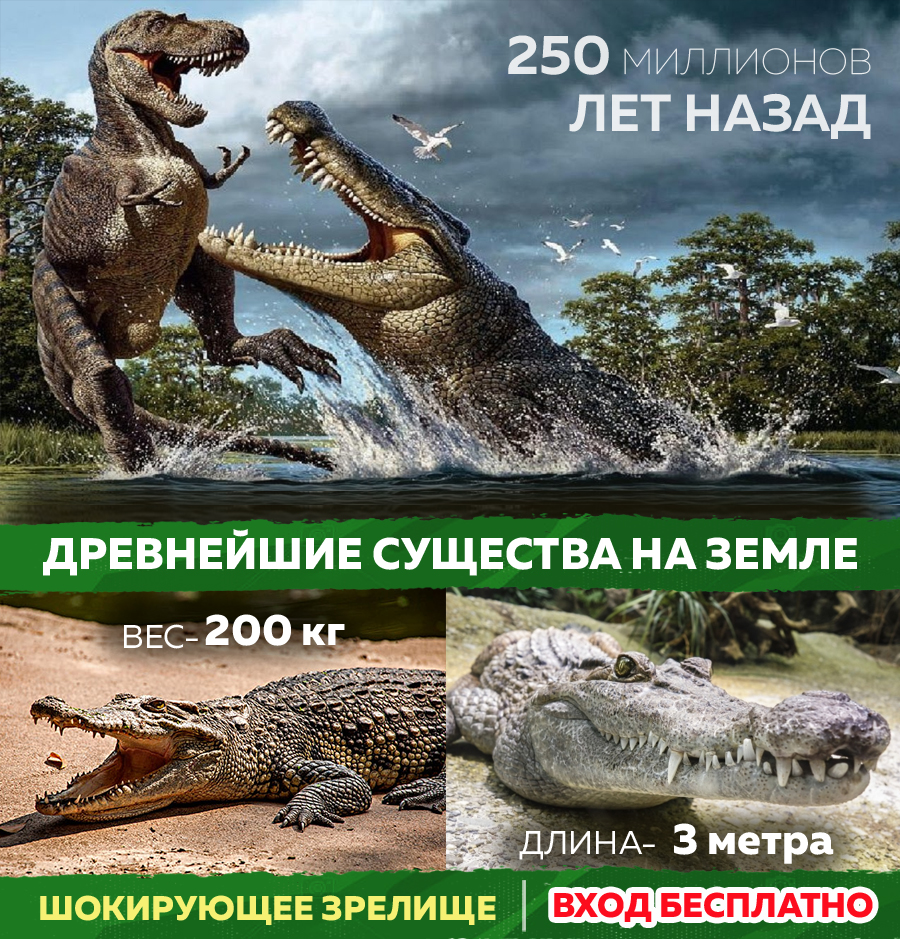 выставка крокодилов Grand Hall Baby Hall