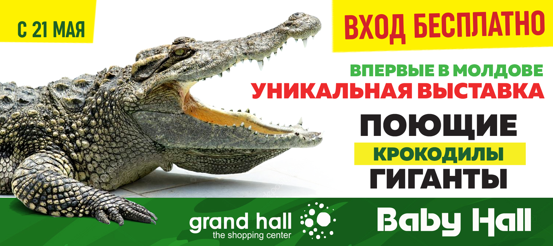 выставка крокодилов Grand Hall Baby Hall