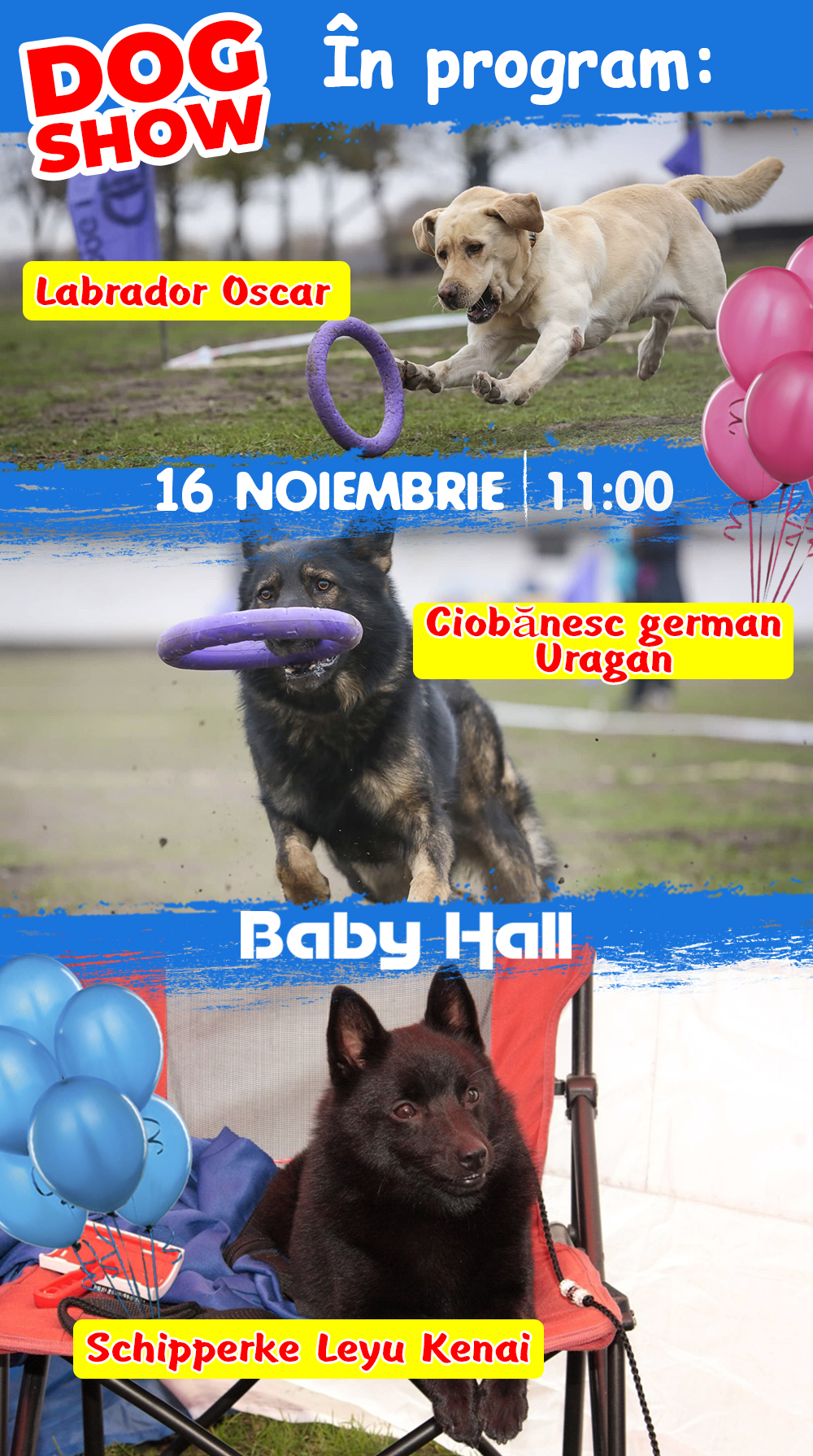 grand hall, baby hall, dog шоу, дрессированные собаки