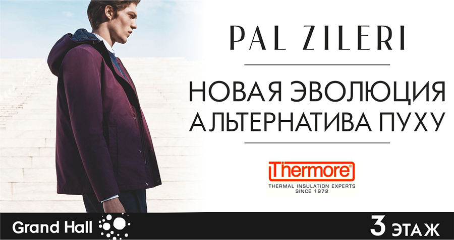 Pal ZIleri