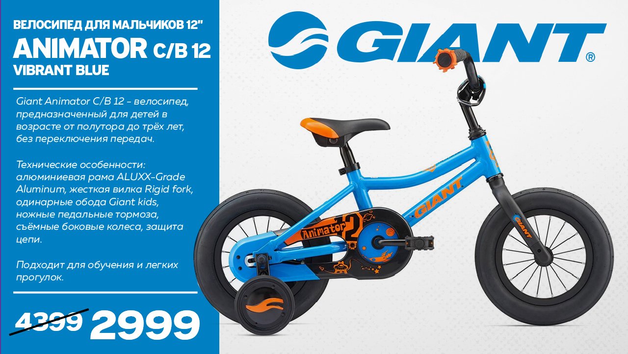 sportlandia giant