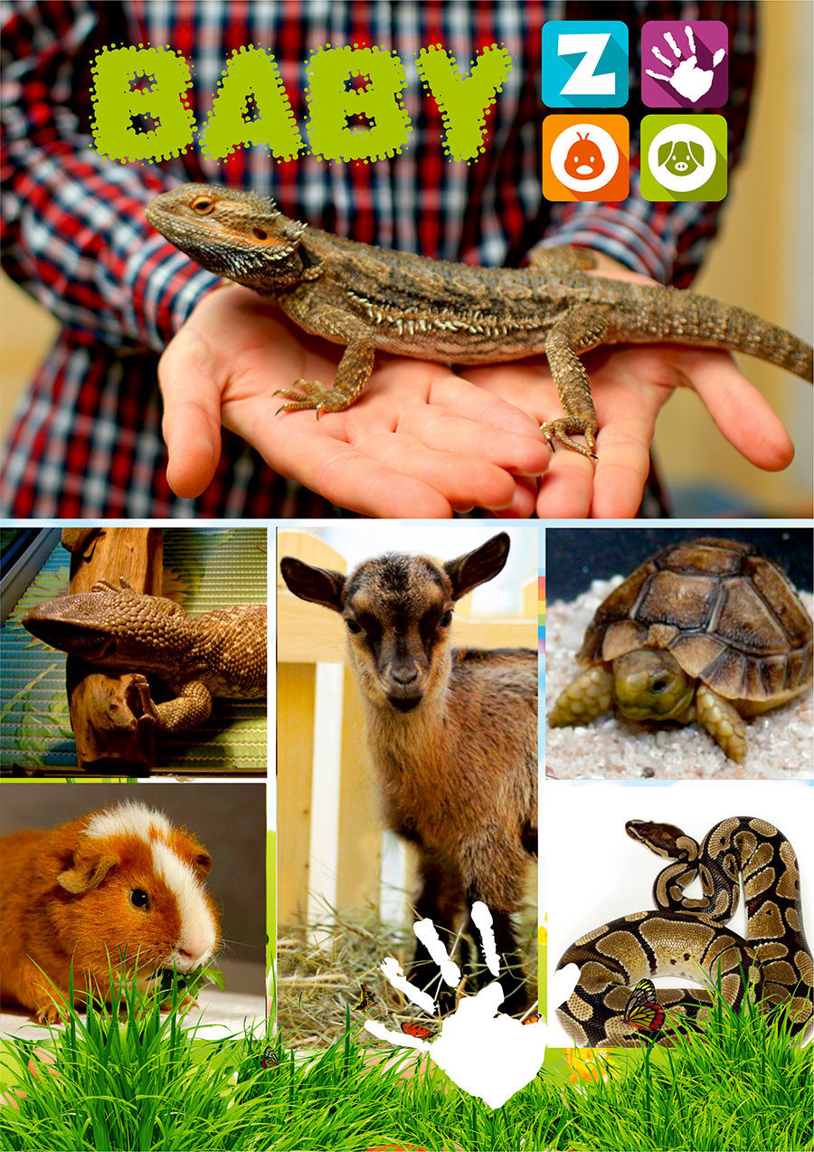 zooparc, pentru copii, zoo, zoo baby hall