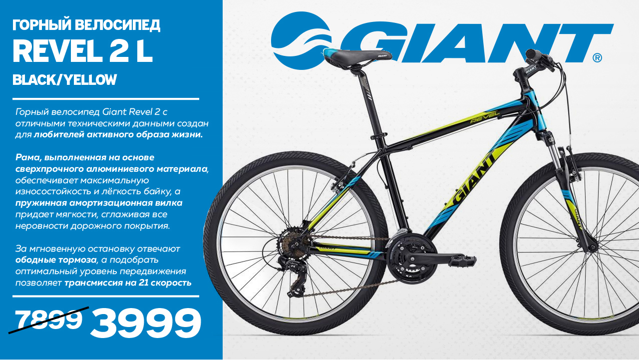 sportlandia giant
