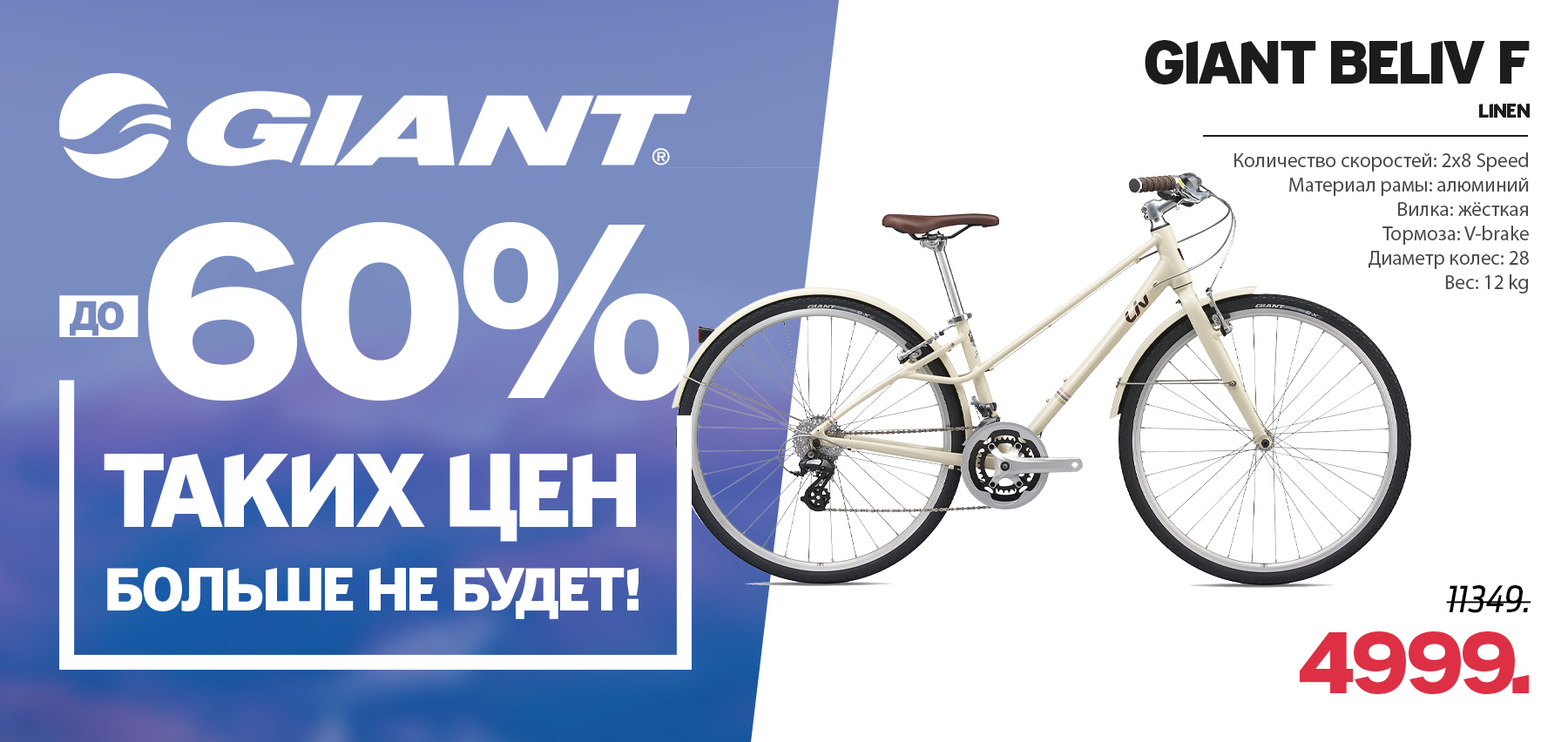giant md