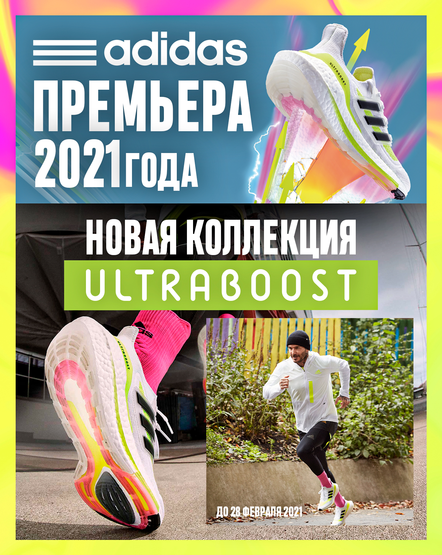adidas moldova