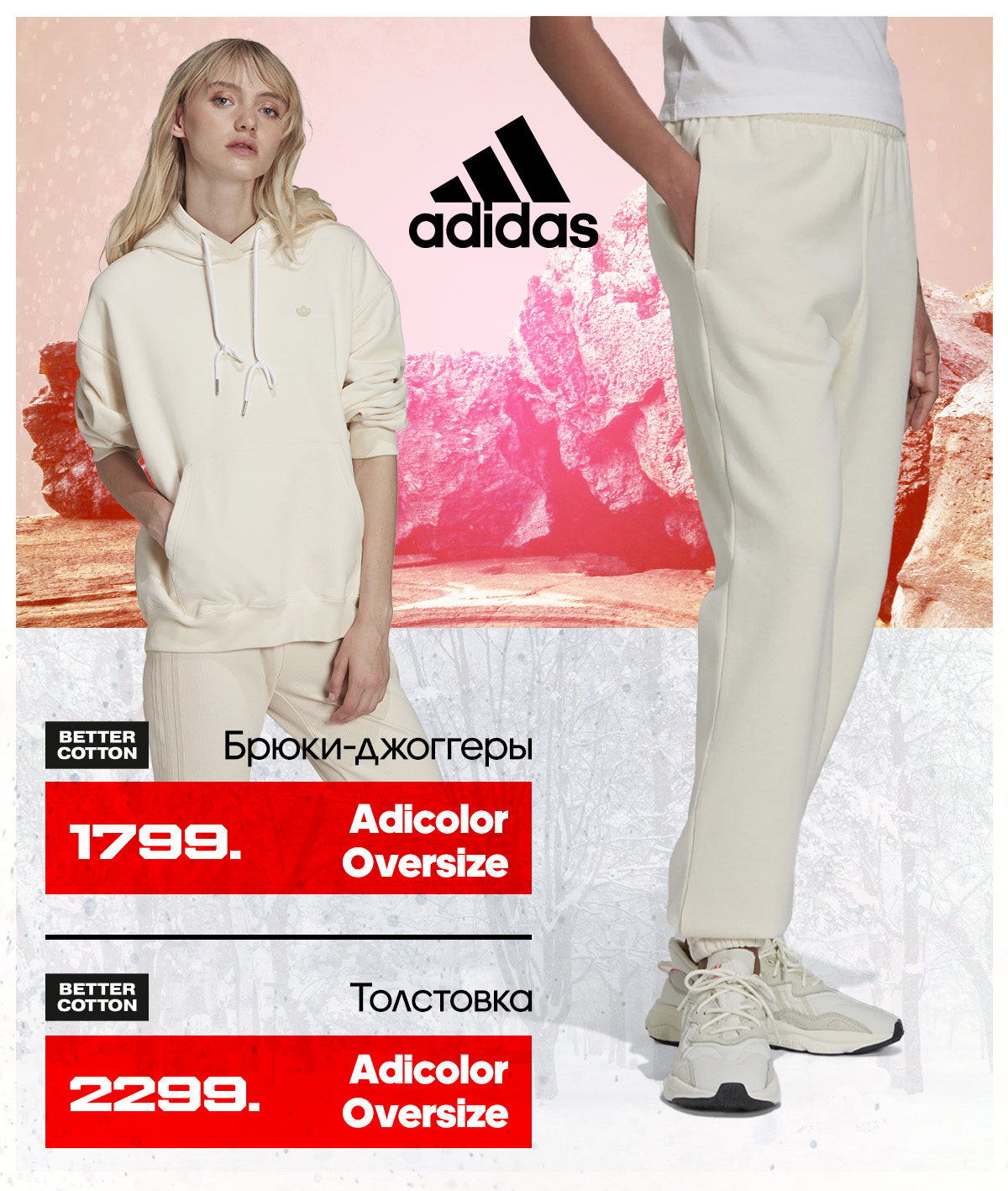 adidas moldova