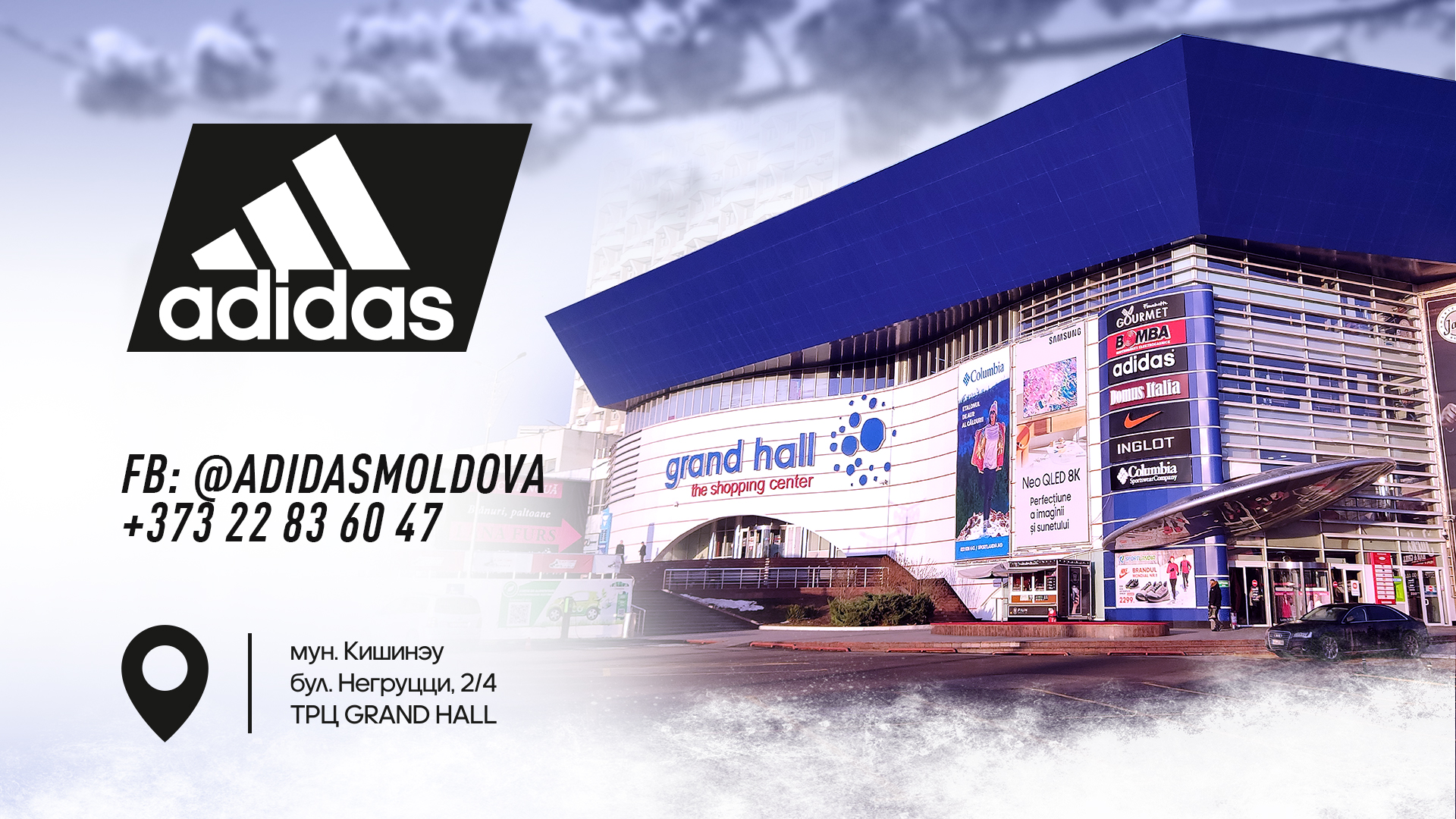 adidas moldova