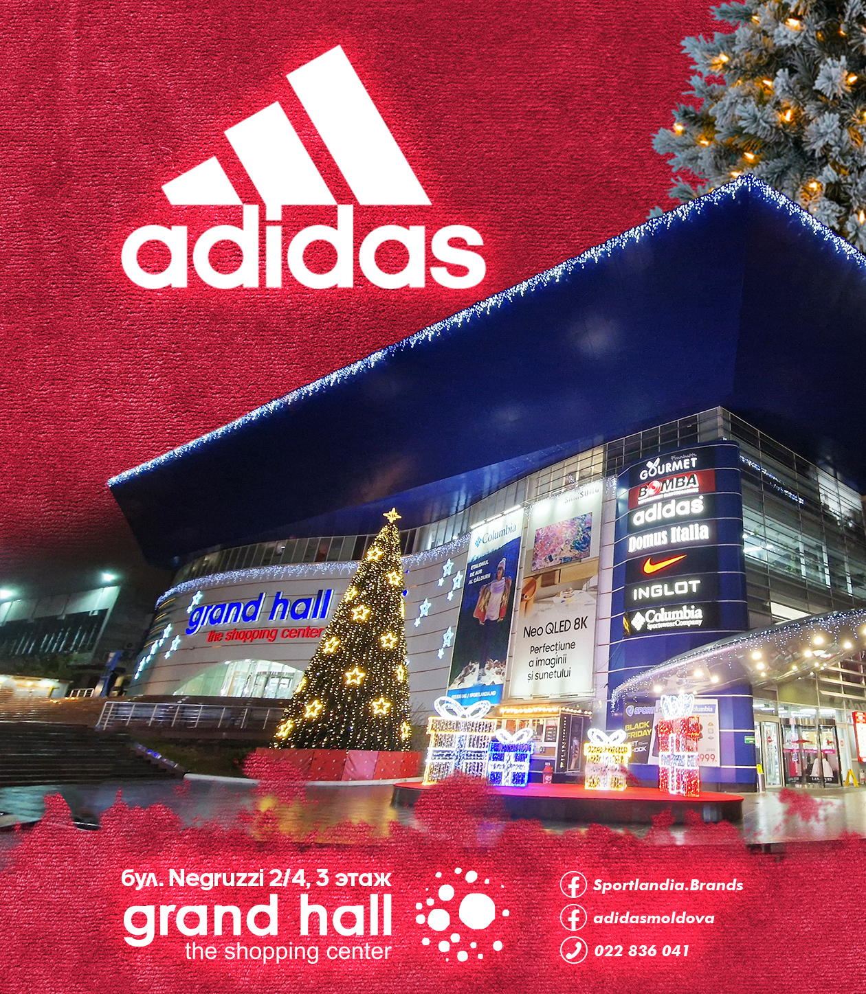 adidas moldova