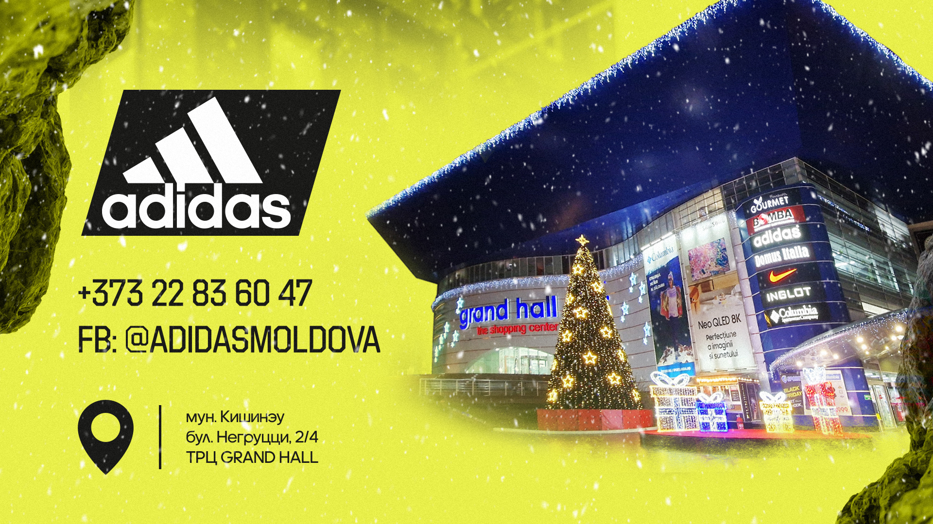 adidas moldova