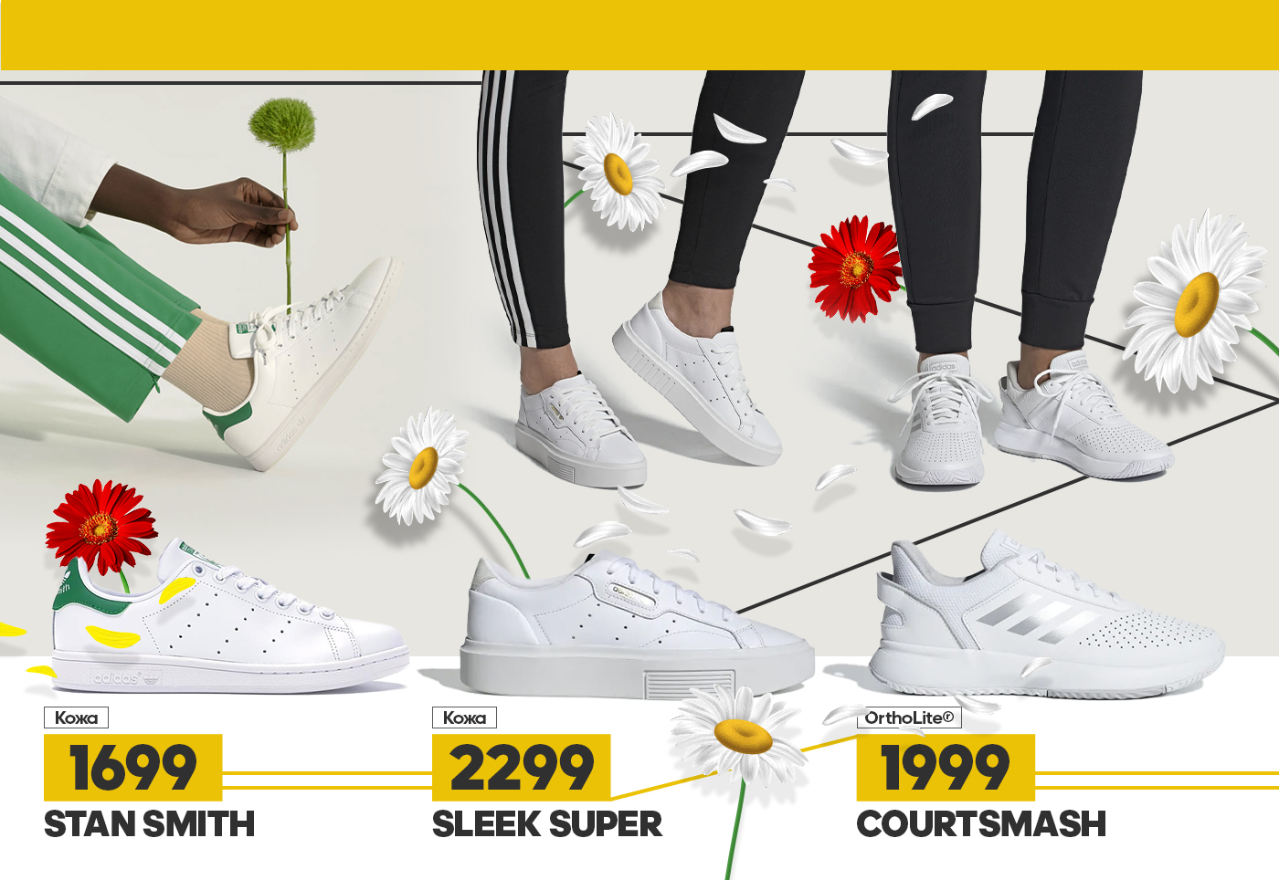 adidas moldova