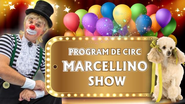 Baby Hall: Sâmbătă, Marcelino-show și cățeluși dresați